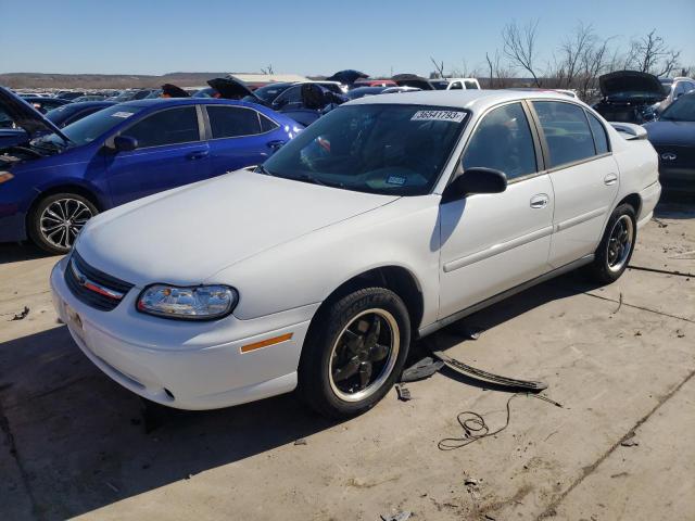 CHEVROLET MALIBU 2005 with VIN 1G1ND52F05M145346 - Photo from auction