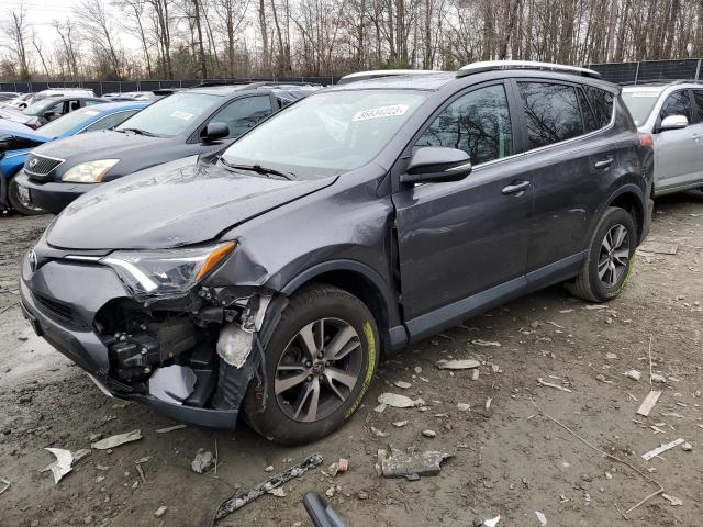 TOYOTA RAV4 XLE 2016 with VIN 2T3WFREV7GW293421 - Photo from auction