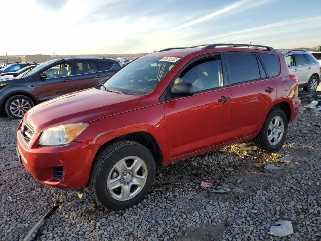 TOYOTA RAV4 2011 with VIN 2T3BF4DV1BW113071 - Photo from auction