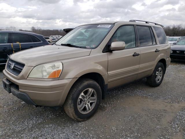 HONDA PILOT EX 2005 with VIN 5FNYF18485B037546 - Photo from auction