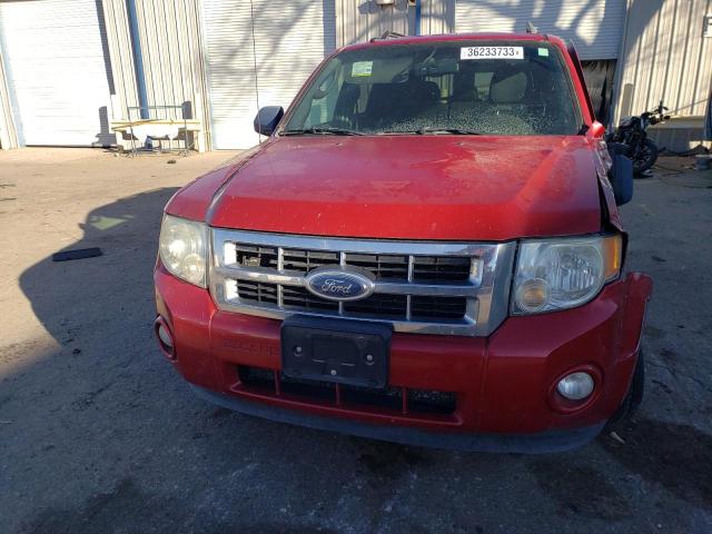 Photo 5 from auction – 2009 FORD ESCAPE XLT with VIN 1FMCU93789KC97496