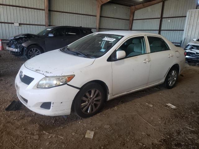 TOYOTA COROLLA BA 2010 with VIN 1NXBU4EE8AZ303199 - Photo from auction