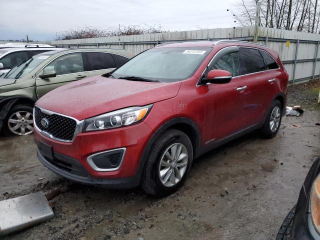 Photo 1 from auction – 2016 KIA SORENTO LX with VIN 5XYPGDA59GG177209