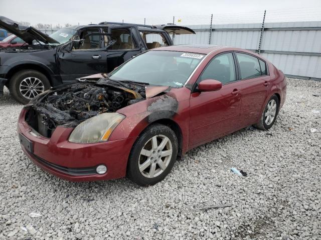 NISSAN MAXIMA SE 2006 with VIN 1N4BA41E46C862075 - Photo from auction
