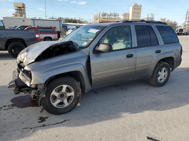 CHEVROLET TRAILBLAZE 2008 with VIN 1GNDS13S982156317 - Photo from auction