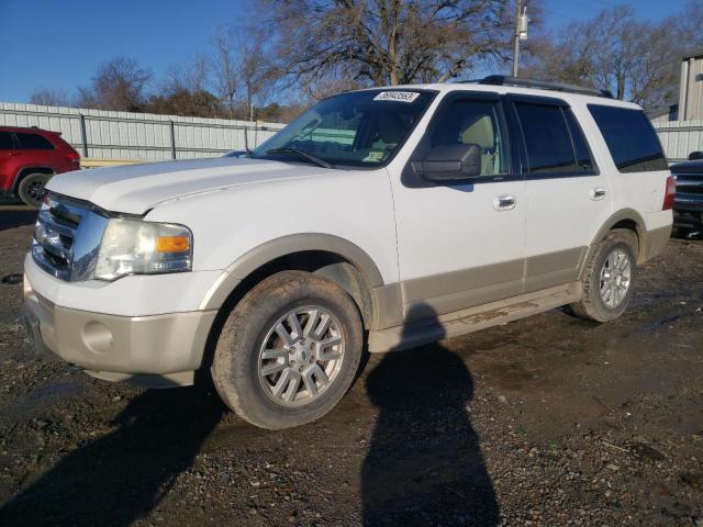 FORD EXPEDITION 2009 with VIN 1FMFU18549EA71234 - Photo from auction