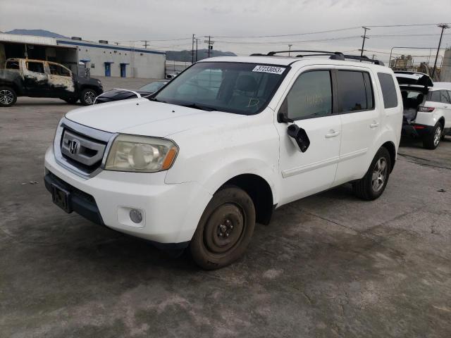 HONDA PILOT EXL 2011 with VIN 5FNYF3H68BB009559 - Photo from auction