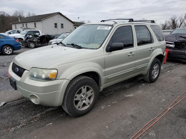 FORD ESCAPE LIM 2005 with VIN 1FMYU04135KB16133 - Photo from auction