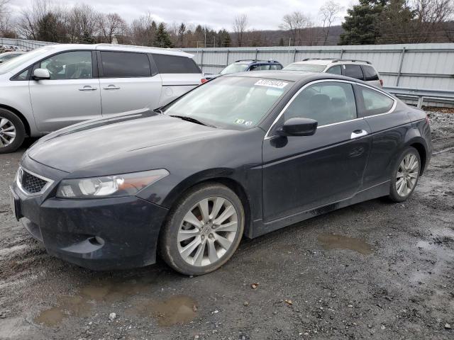 HONDA ACCORD EXL 2008 with VIN 1HGCS228X8A013285 - Photo from auction