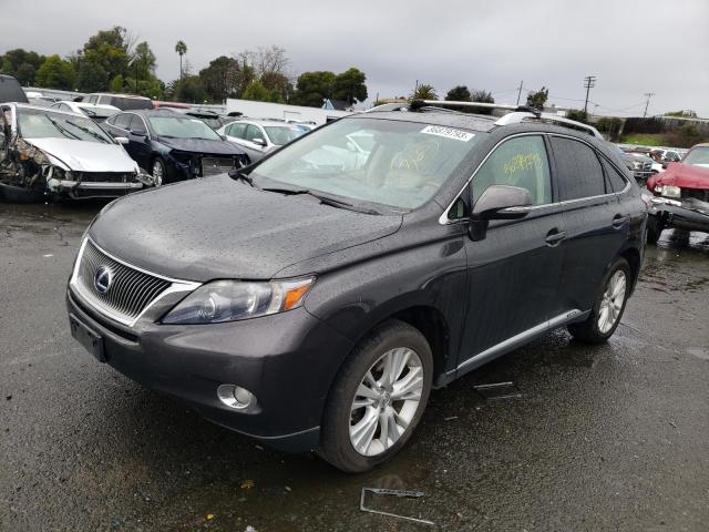 LEXUS RX 450 2010 with VIN JTJBC1BA7A2003959 - Photo from auction