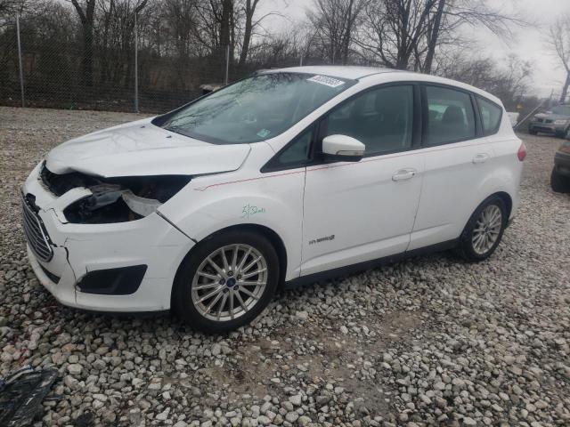 FORD C-MAX SE 2013 with VIN 1FADP5AU9DL556572 - Photo from auction