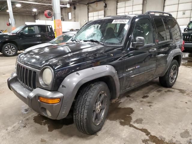 JEEP LIBERTY 2003 with VIN 1J4GK48K73W707176 - Photo from auction