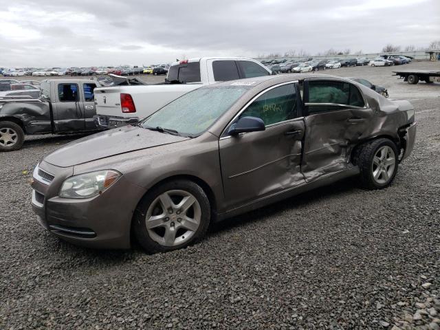 CHEVROLET MALIBU LS 2010 with VIN 1G1ZB5EB2AF240389 - Photo from auction
