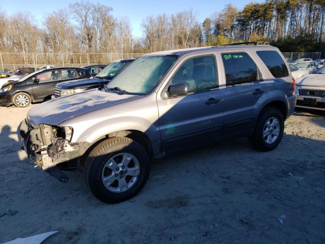 FORD ESCAPE XLT 2007 with VIN 1FMYU03127KA07523 - Photo from auction