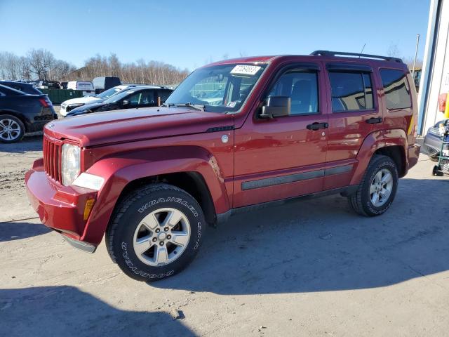 JEEP LIBERTY SP 2011 with VIN 1J4PN2GK2BW503137 - Photo from auction