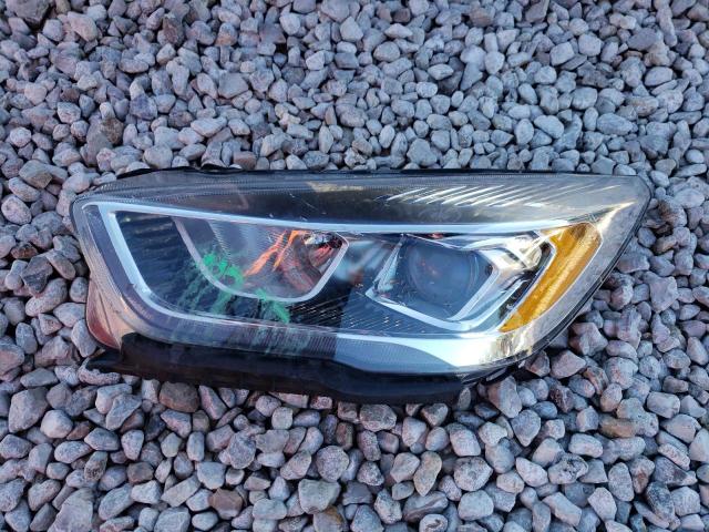 Photo 12 from auction – 2017 FORD ESCAPE SE with VIN 1FMCU0GD7HUB36197