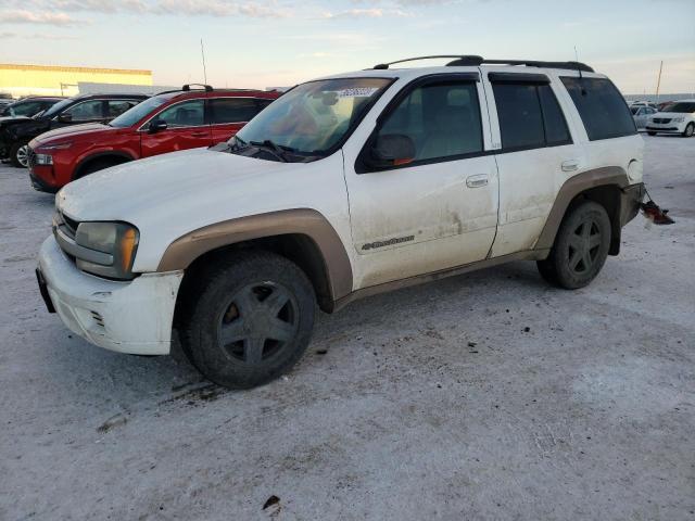 CHEVROLET TRAILBLAZE 2002 with VIN 1GNDT13S722342362 - Photo from auction