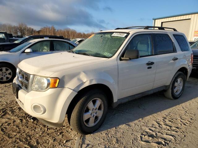 Photo 1 from auction – 2009 FORD ESCAPE XLT with VIN 1FMCU93G39KB77931