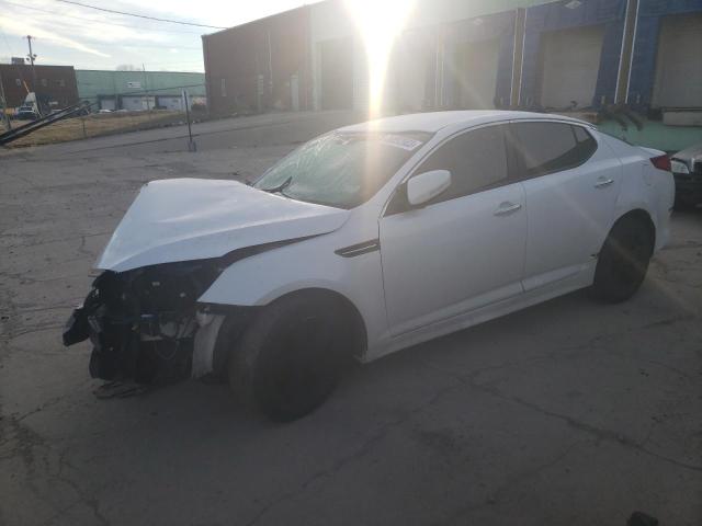 KIA OPTIMA LX 2015 with VIN KNAGM4A76F5568137 - Photo from auction