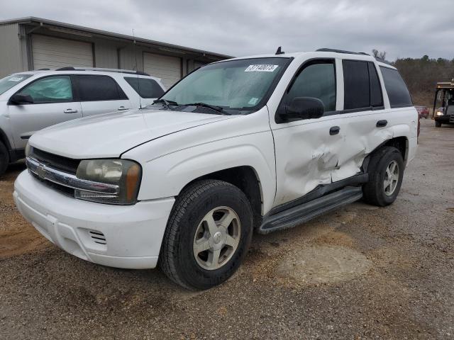 CHEVROLET TRAILBLAZE 2006 with VIN 1GNDS13SX62128197 - Photo from auction