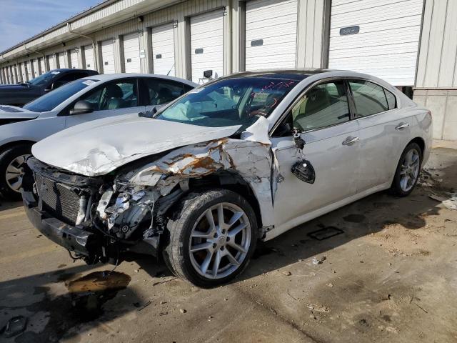 NISSAN MAXIMA S 2009 with VIN 1N4AA51E59C828037 - Photo from auction