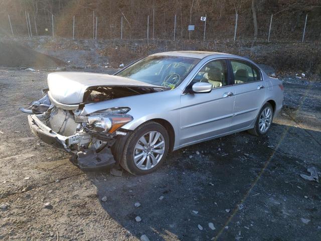 HONDA ACCORD EXL 2011 with VIN 1HGCP3F86BA025569 - Photo from auction