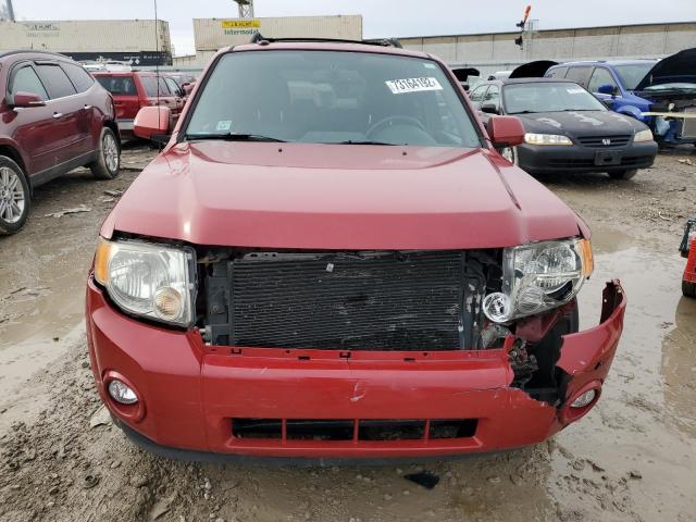 Photo 5 from auction – 2011 FORD ESCAPE LIM with VIN 1FMCU0EG4BKC18114