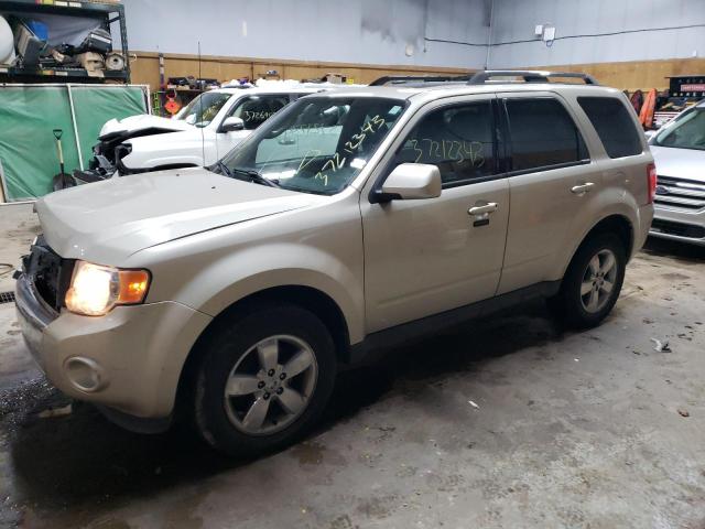 FORD ESCAPE LIM 2010 with VIN 1FMCU0EG3AKA04455 - Photo from auction
