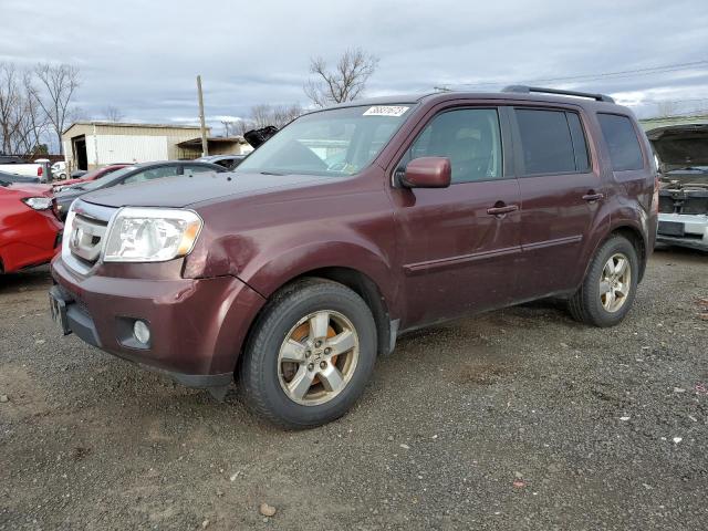 HONDA PILOT 2010 with VIN 5FNYF4H55AB020465 - Photo from auction