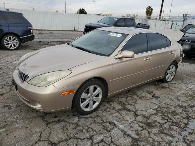 LEXUS ES 330 2005 with VIN JTHBA30G455076043 - Photo from auction