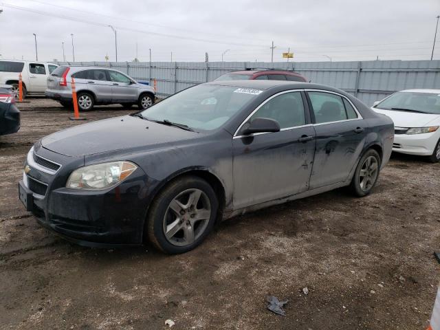 CHEVROLET MALIBU LS 2011 with VIN 1G1ZB5E12BF277337 - Photo from auction