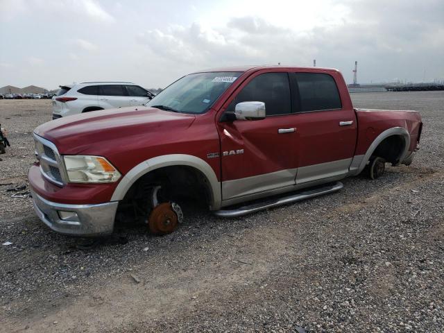 DODGE RAM 1500 2009 with VIN 1D3HV13T09S773835 - Photo from auction