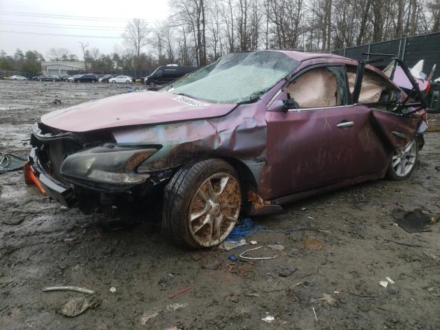 NISSAN MAXIMA S 2009 with VIN 1N4AA51E19C833686 - Photo from auction