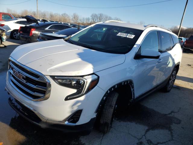 GMC TERRAIN SL 2019 with VIN 3GKALPEV0KL196315 - Photo from auction