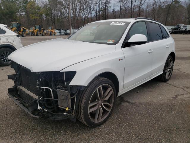 AUDI SQ5 PREMIU 2015 with VIN WA1CGAFP9FA104647 - Photo from auction