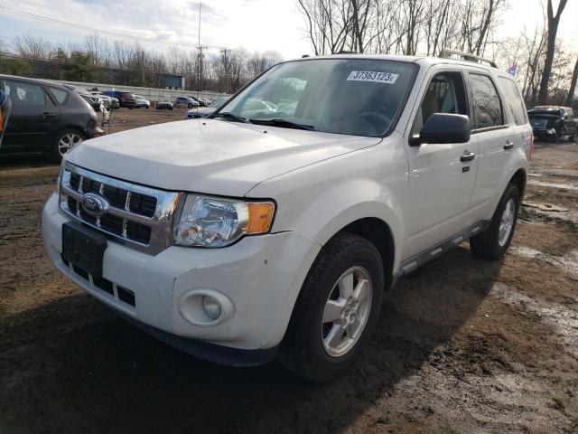 FORD ESCAPE XLT 2011 with VIN 1FMCU0DGXBKC39650 - Photo from auction