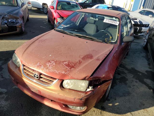TOYOTA COROLLA CE 2001 with VIN 1NXBR12E81Z525293 - Photo from auction