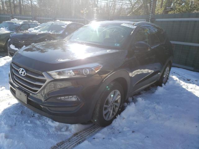 HYUNDAI TUCSON LIM 2016 with VIN KM8J3CA49GU127505 - Photo from auction