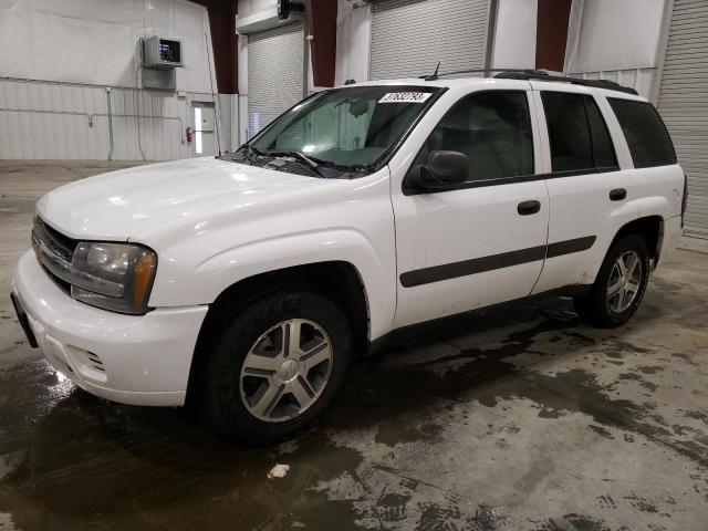 CHEVROLET TRAILBLAZE 2005 with VIN 1GNDT13S752379920 - Photo from auction