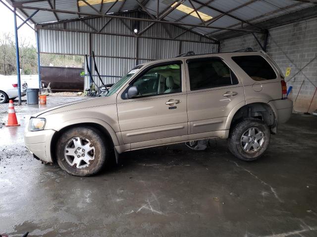 FORD ESCAPE LIM 2007 with VIN 1FMCU041X7KB89366 - Photo from auction