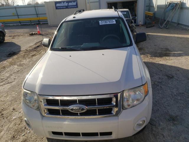 Photo 5 from auction – 2009 FORD ESCAPE XLT with VIN 1FMCU93G09KC80952