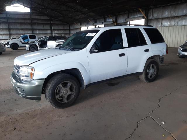 CHEVROLET TRAILBLAZE 2006 with VIN 1GNDT13S162358160 - Photo from auction