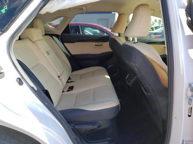 Photo 11 from auction – 2020 LEXUS NX 300 BAS with VIN JTJAARBZ0L5012199