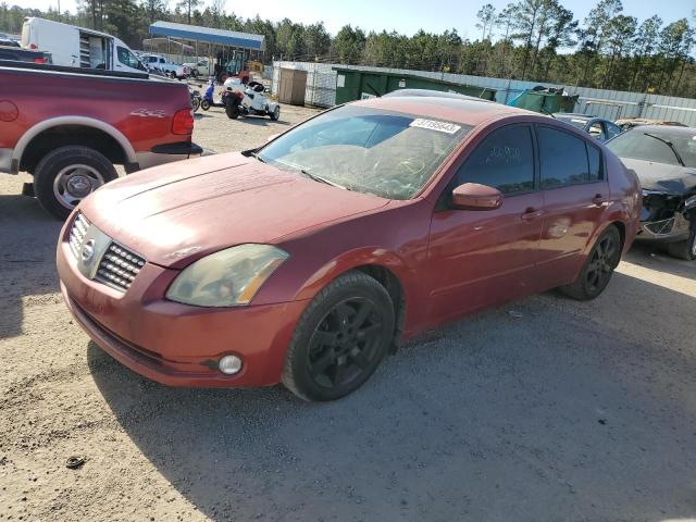 NISSAN MAXIMA SE 2006 with VIN 1N4BA41E26C819404 - Photo from auction