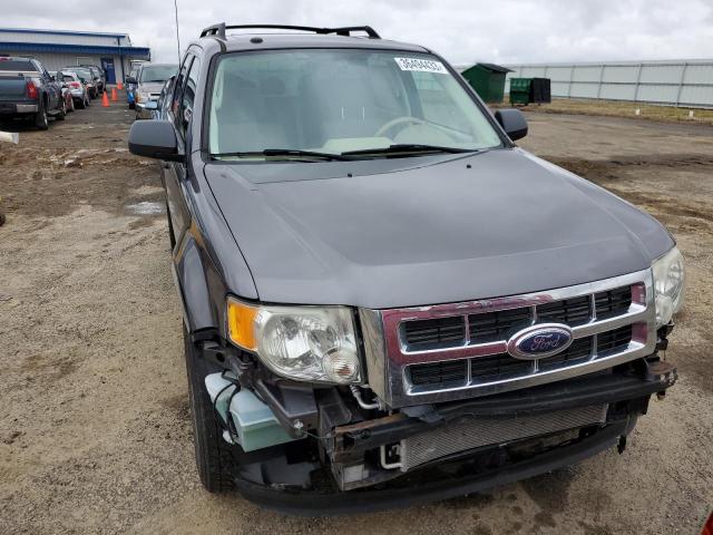 Photo 5 from auction – 2009 FORD ESCAPE XLT with VIN 1FMCU93729KD06354