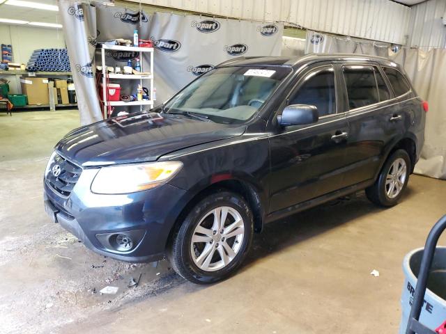 HYUNDAI SANTA FE G 2010 with VIN 5NMSG3AB3AH401968 - Photo from auction
