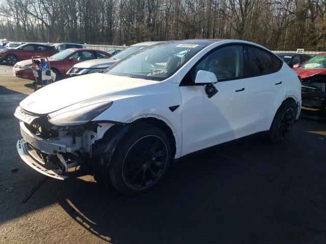 TESLA MODEL Y 2023 with VIN 7SAYGDEE1PF597698 - Photo from auction