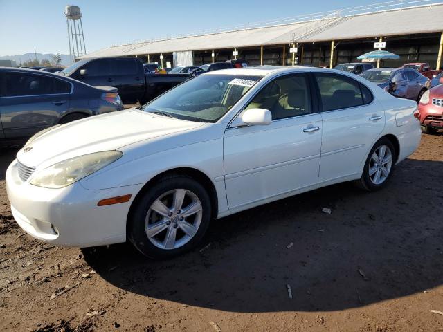 LEXUS ES 330 2005 with VIN JTHBA30G255130083 - Photo from auction