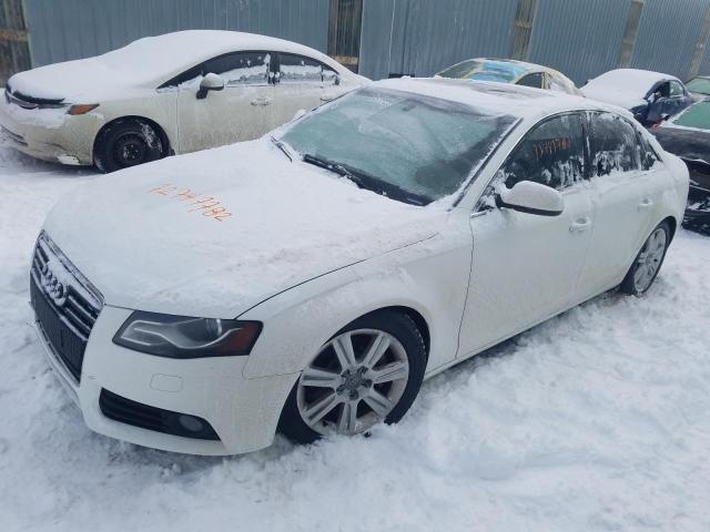 AUDI A4 PRESTIG 2011 with VIN WAUKFCFL1BN003888 - Photo from auction