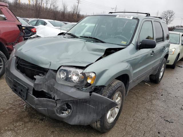 FORD ESCAPE XLT 2007 with VIN 1FMYU03167KB97780 - Photo from auction